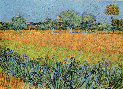 View of Arles With Iris